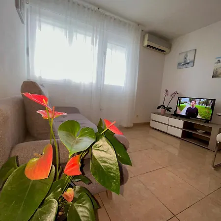 Appartement Olive *