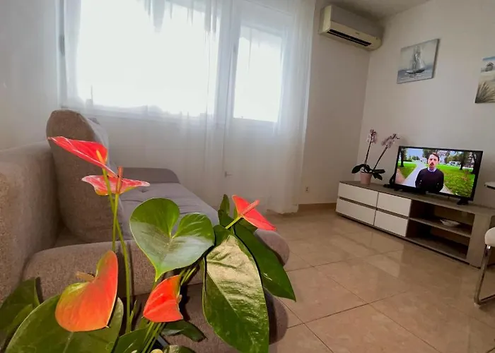 Apartamento Olive *